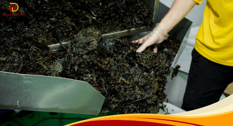 Nơi gia công rong biển sấy tại HCM