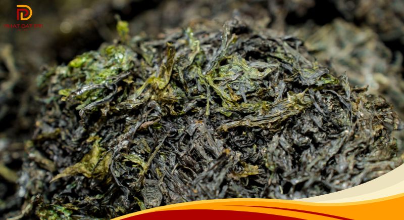 Nguồn rong biển sấy tại HCM