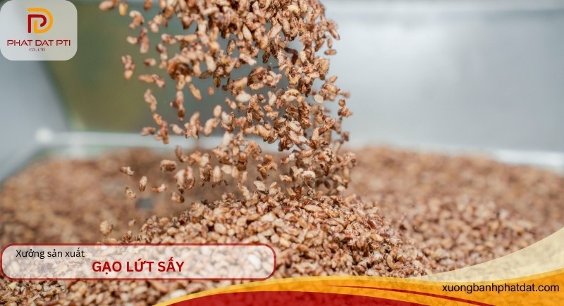 Xưởng sản xuất gạo lứt sấy