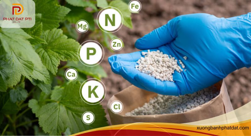 Kinh doanh đại lý phân bón