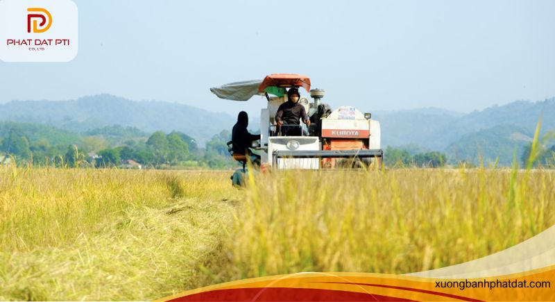 Vốn 30 triệu kinh doanh gì ở nông thôn thì hợp lý