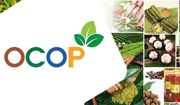 giấy chứng nhận ocop
