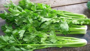 thực phẩm không calo